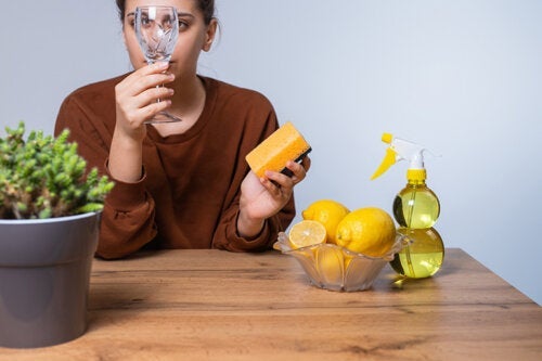 10 ideeën om citroen bij het huishouden te gebruiken