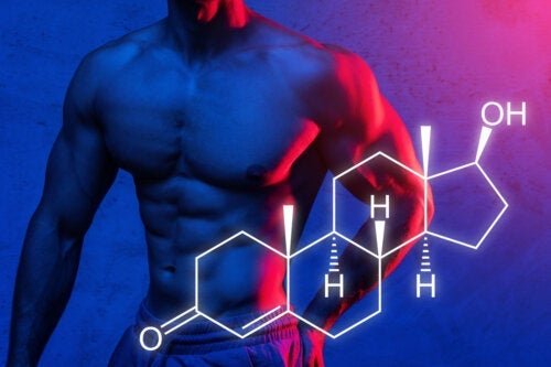 Eiwitsynthese: hoe je je spiermassatoename kunt maximaliseren