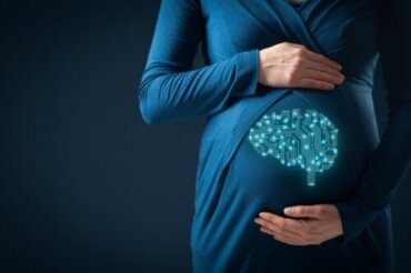 Zwangerschap brengt veranderingen in de hersenen teweeg blijkt uit studies