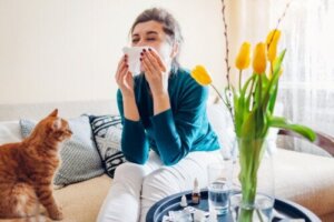 15 bomen en planten die allergische reacties kunnen oproepen