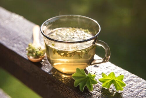 Alchemilla: helpt het om menstruatiesymptomen te verlichten?