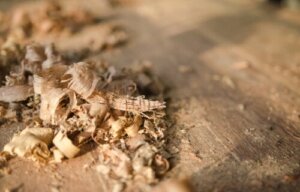 8 praktische toepassingen van zaagsel in huis