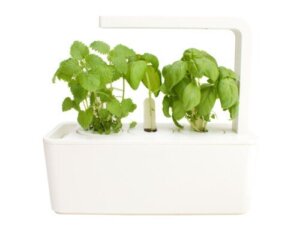 Slimme plantenpotten: zie hoe ze werken en de voordelen voor je planten