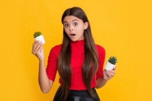 Zijn cactussen en vetplanten hetzelfde? Ontdek waarom ze dat niet zijn