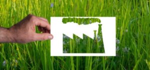 Hoe herken je greenwashing?
