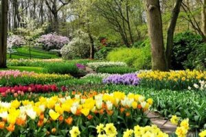 Het is lente! Plant deze 8 bollen in je tuin om hem te vullen met leven en kleur